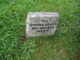 image of grave number 244731